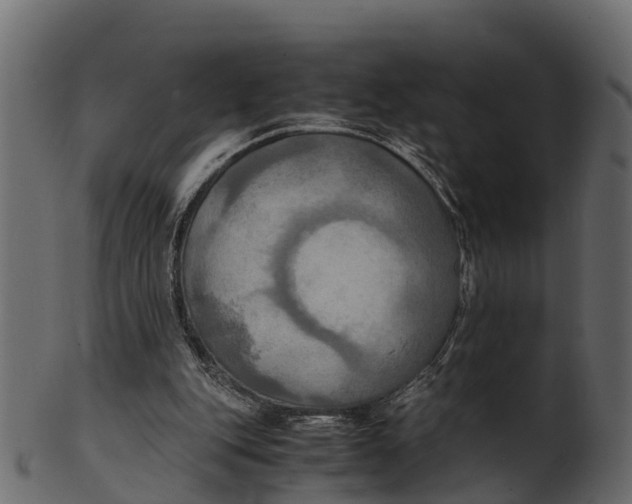 X0000100480151200807031900