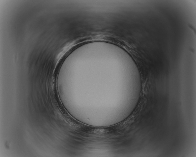 X0000100480152200807031900