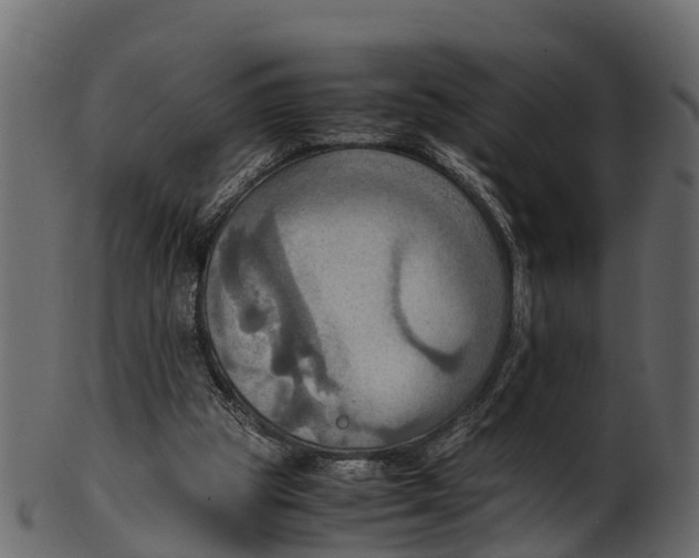 X0000100480153200807031900