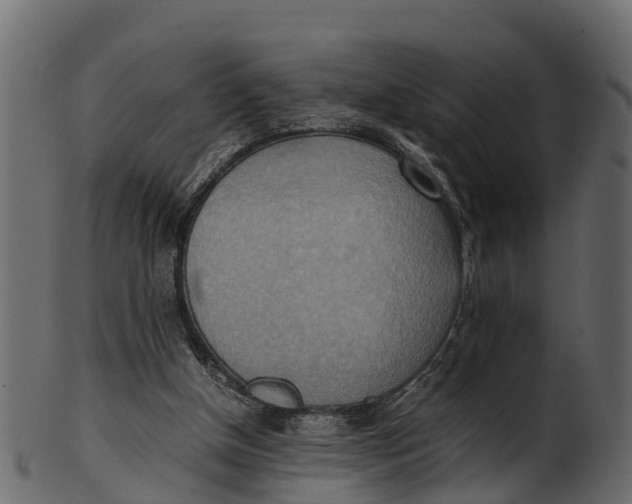 X0000100480154200807031900