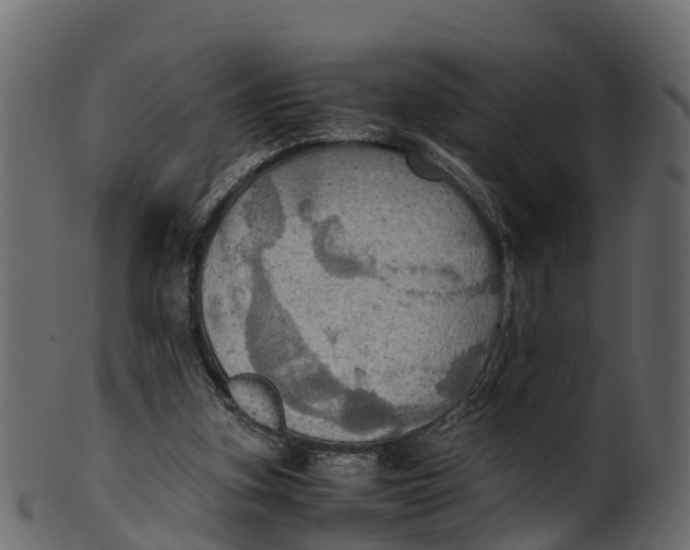 X0000100480155200807031900