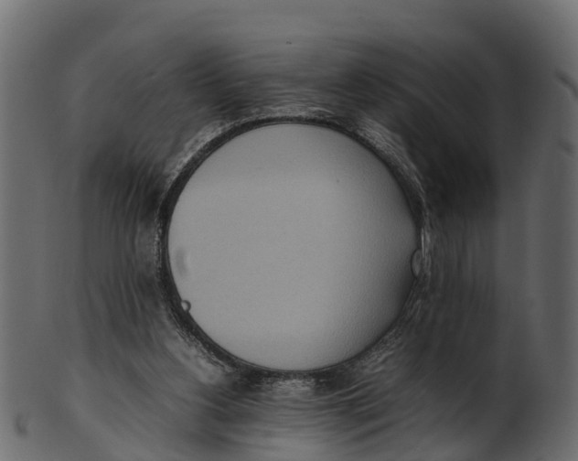 X0000100480156200807031900