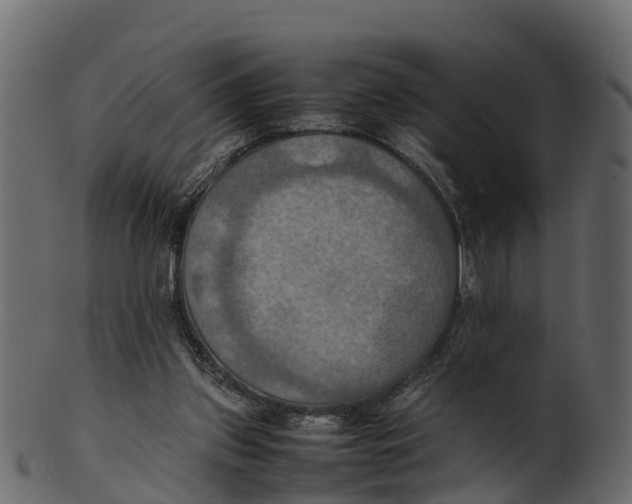 X0000100480157200807031900