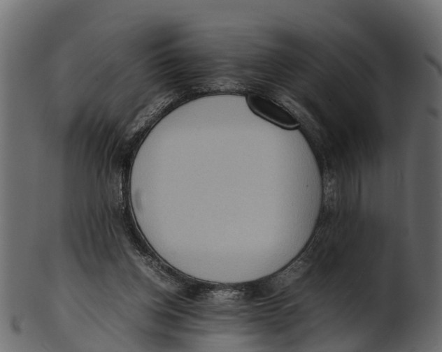 X0000100480158200807031900