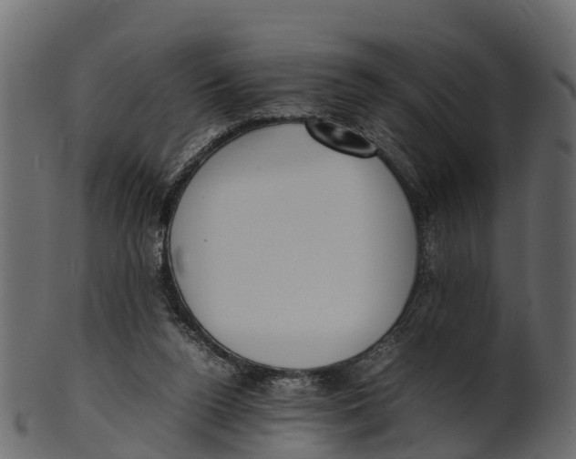 X0000100480160200807031900