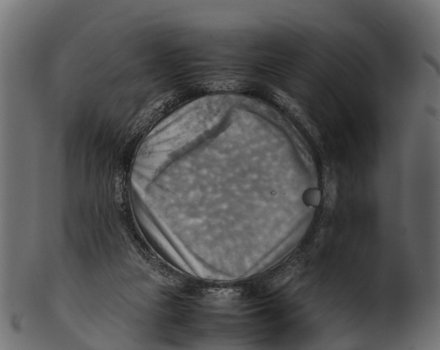 X0000100480161200807031900