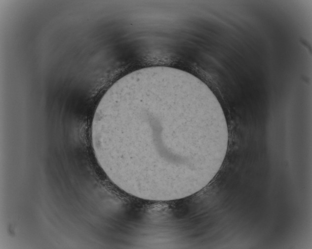 X0000100480162200807031900