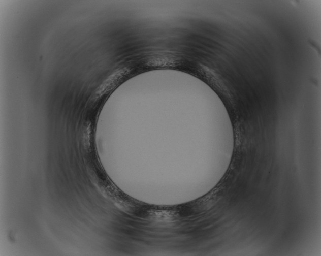 X0000100480163200807031900