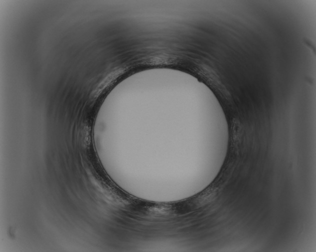 X0000100480164200807031900