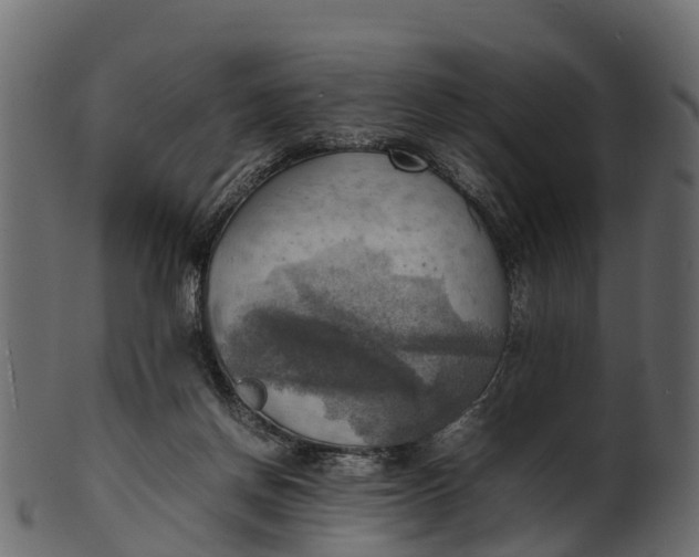 X0000100480166200807031901