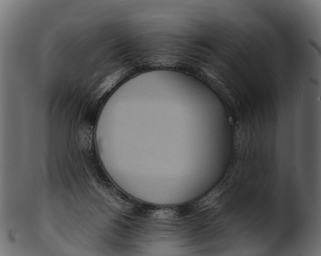 X0000100480168200807031901