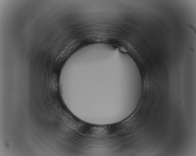 X0000100480170200807031901