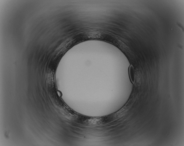 X0000100480172200807031901