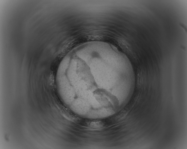 X0000100480173200807031901