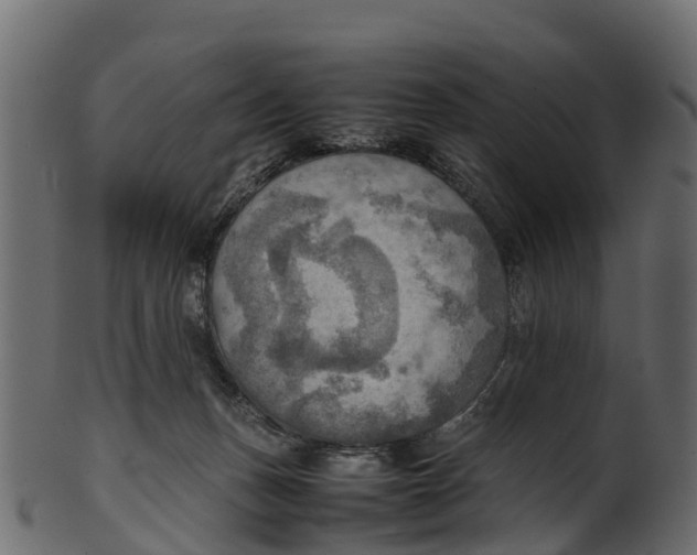 X0000100480175200807031901