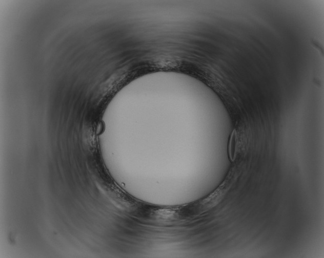 X0000100480176200807031901