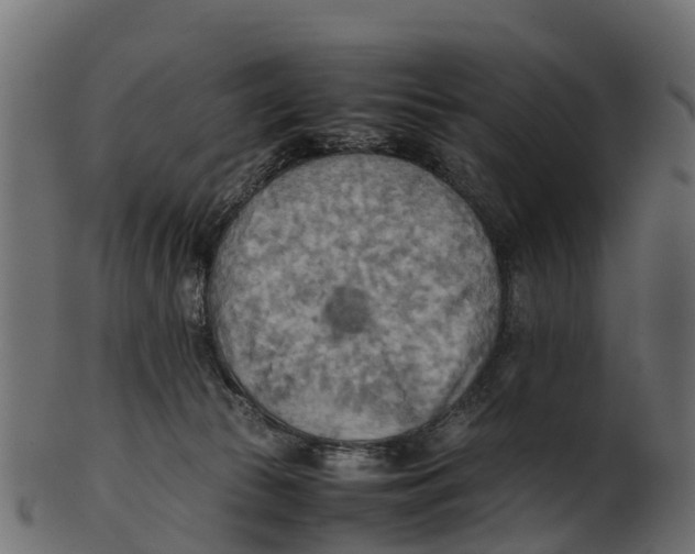 X0000100480177200807031901