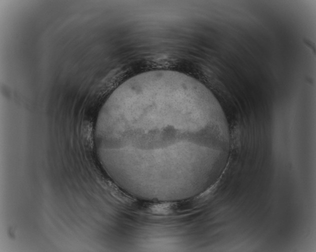 X0000100480178200807031901