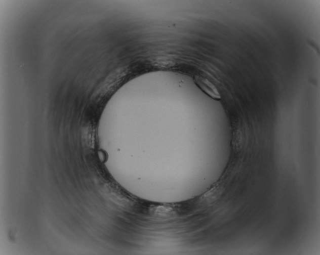 X0000100480180200807031901