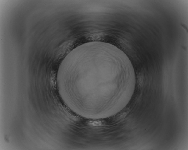 X0000100480181200807031901