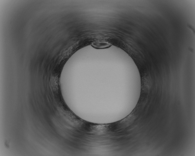 X0000100480184200807031901