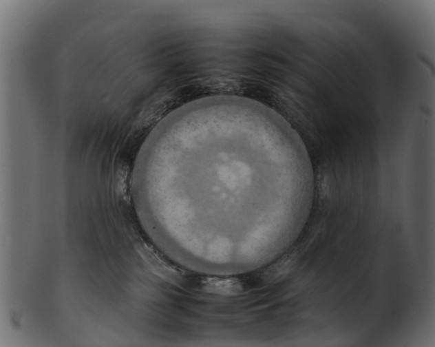 X0000100480185200807031901