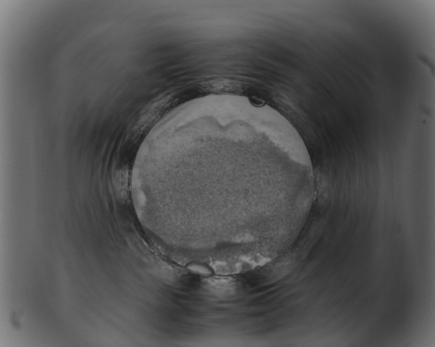 X0000100480189200807031901