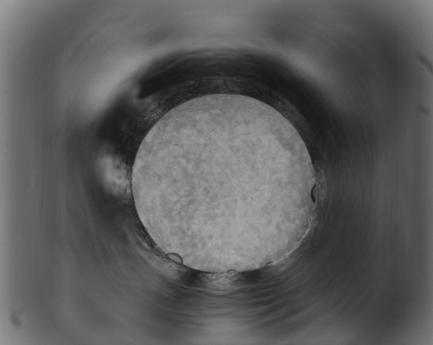 X0000100480191200807031901