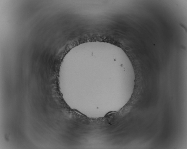 X0000100480192200807031901