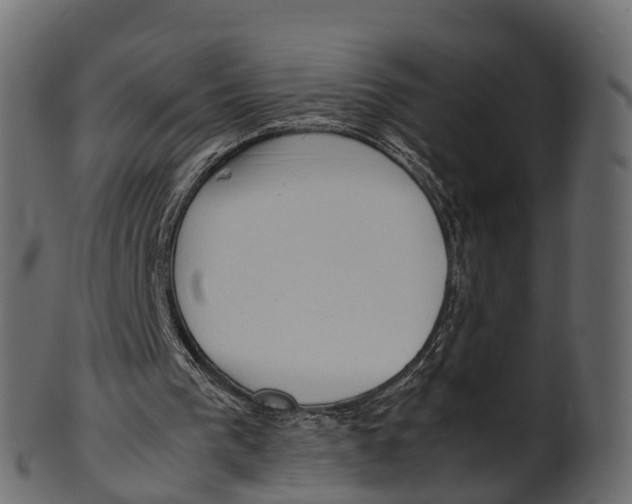 X0000100480193200807031900