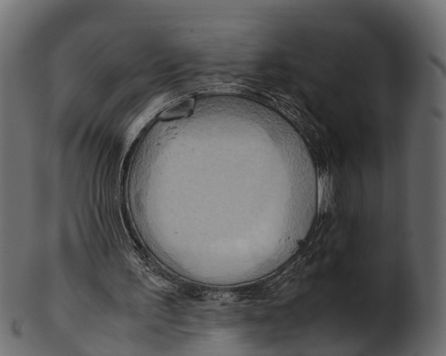 X0000100480195200807031900