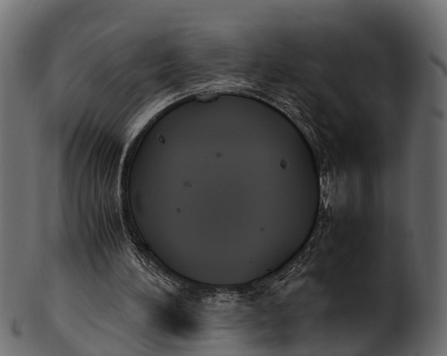 X0000100480196200807031900