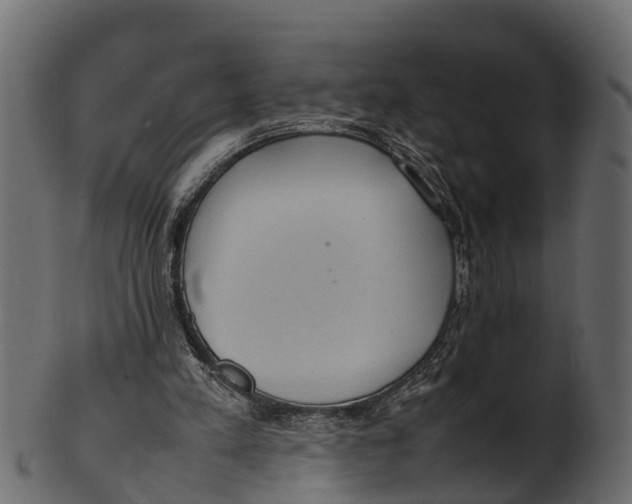 X0000100480197200807031900