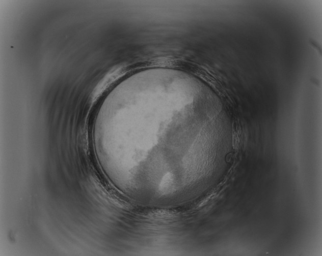 X0000100480198200807031900