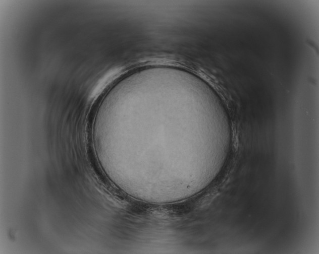 X0000100480199200807031900