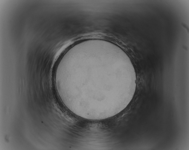 X0000100480200200807031900