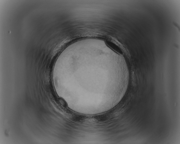 X0000100480203200807031900