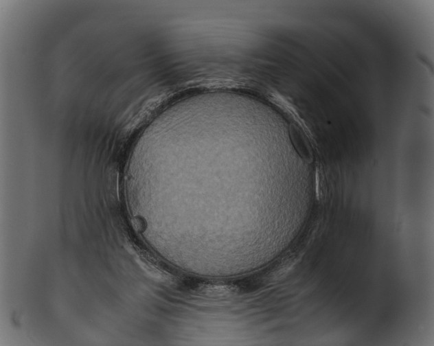 X0000100480205200807031900