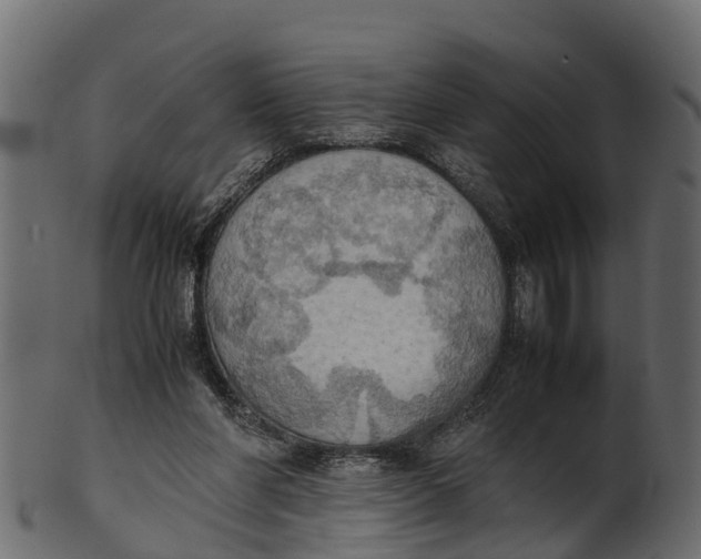 X0000100480206200807031900