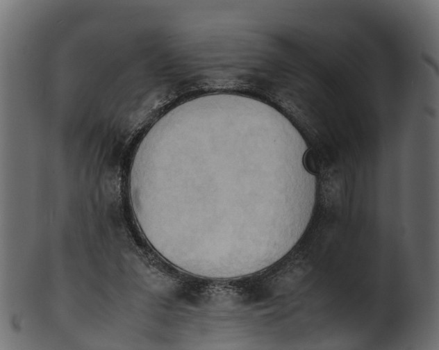 X0000100480207200807031900