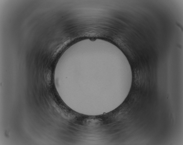 X0000100480208200807031900