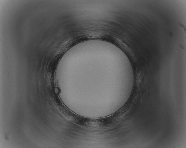 X0000100480209200807031900