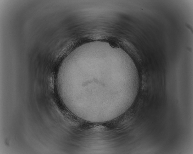 X0000100480210200807031900