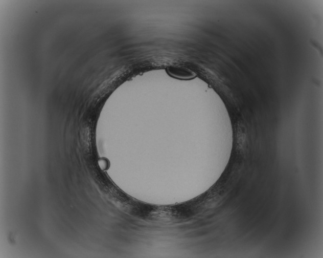 X0000100480211200807031900