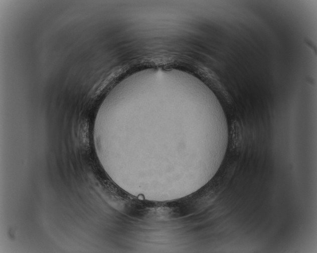 X0000100480212200807031900