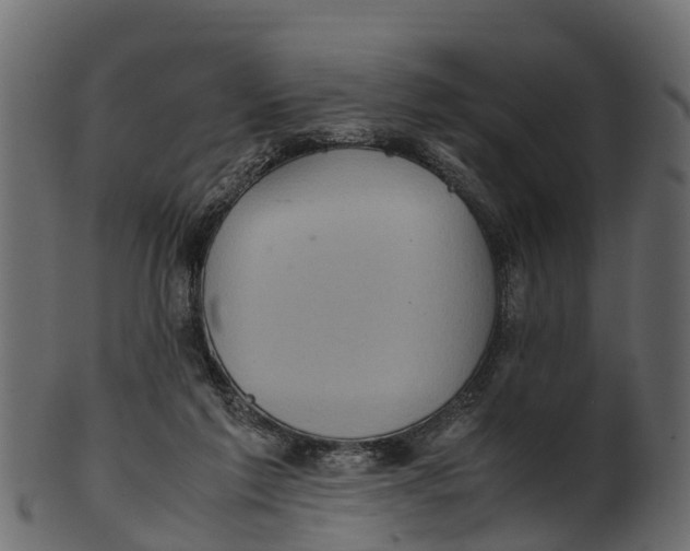 X0000100480213200807031900