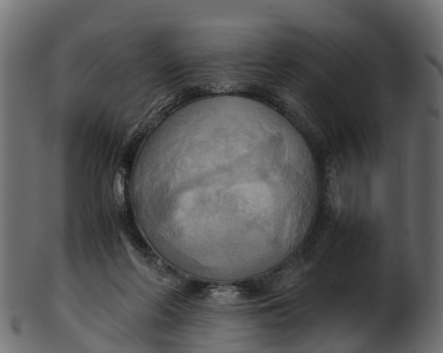 X0000100480214200807031900