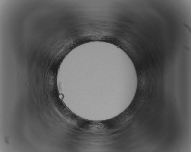 X0000100480215200807031900