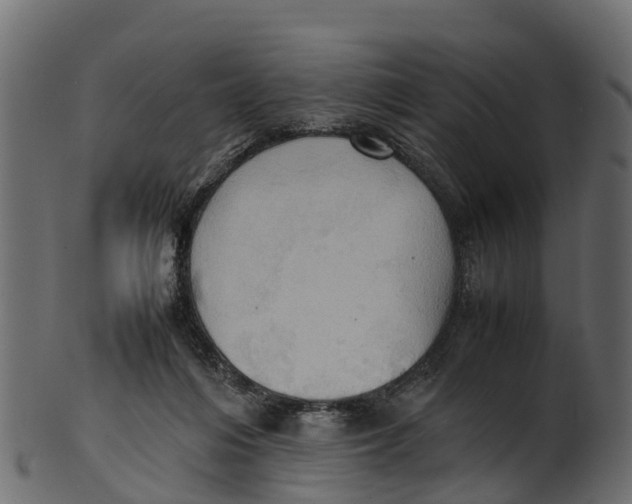 X0000100480216200807031900