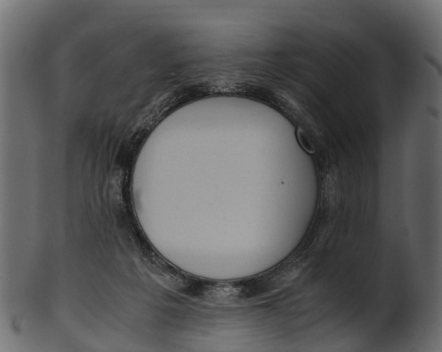 X0000100480217200807031900